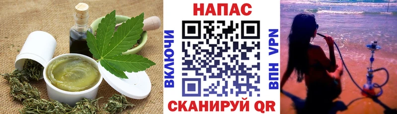 Cannafood конопля  Новоузенск 