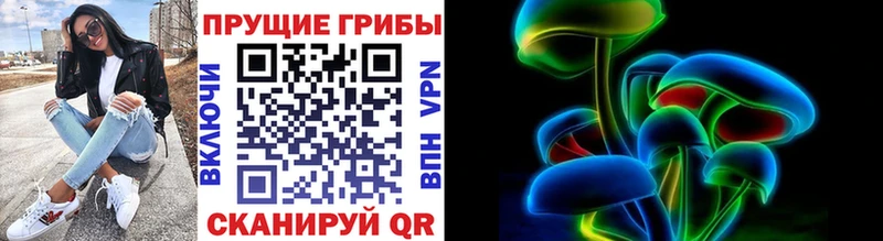 Псилоцибиновые грибы Psilocybe  Новоузенск 