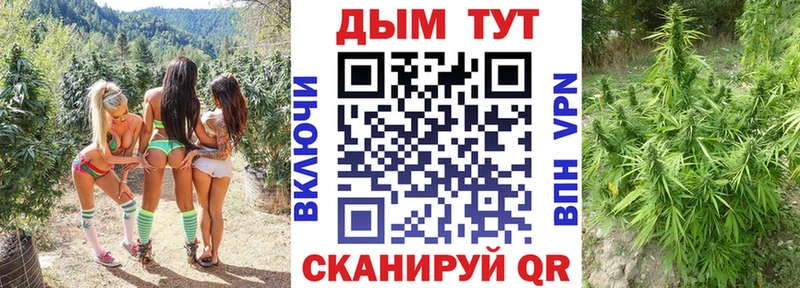 Шишки марихуана план  ссылка на мегу онион  Новоузенск 